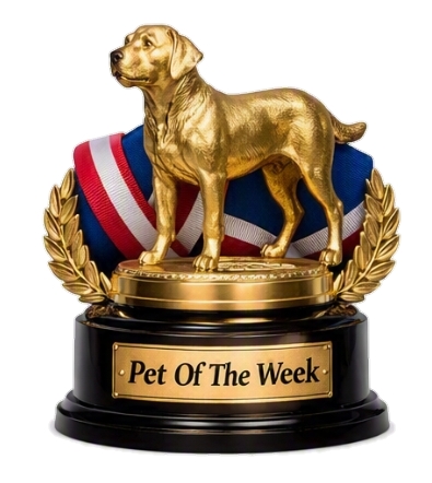 a pet of the week award